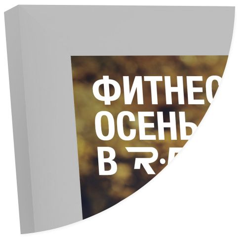 Рамка Нельсон 62, А2, серебро матовое анодир. в Челябинске - картинка, изображение, фото